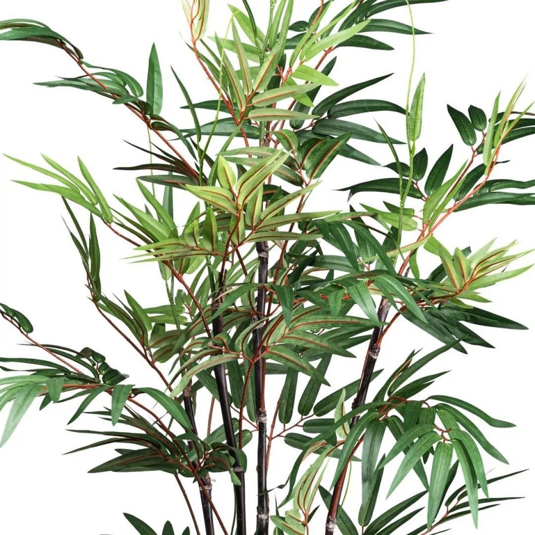 Flourify Bamboe Chinese Wonder (sierbamboe)