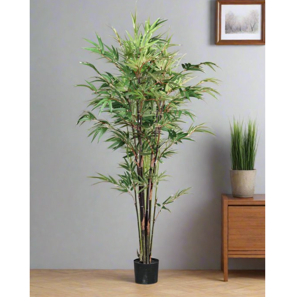 Bambus Chinesisches Wunder Kunstpflanze 160 cm