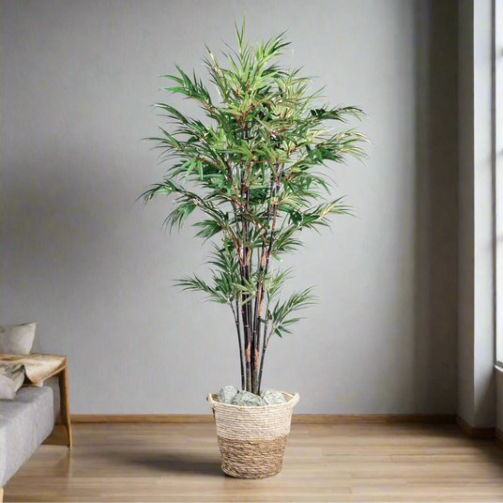 Bambus Chinesisches Wunder Kunstpflanze 160 cm