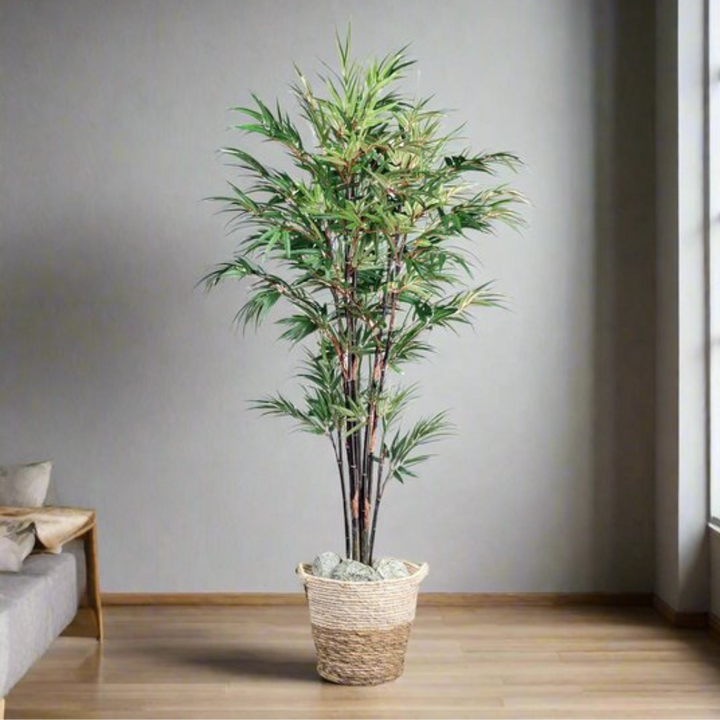 Bambus Chinesisches Wunder Kunstpflanze 160 cm