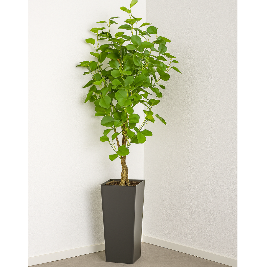 Eucalyptus kunstplant 90 cm