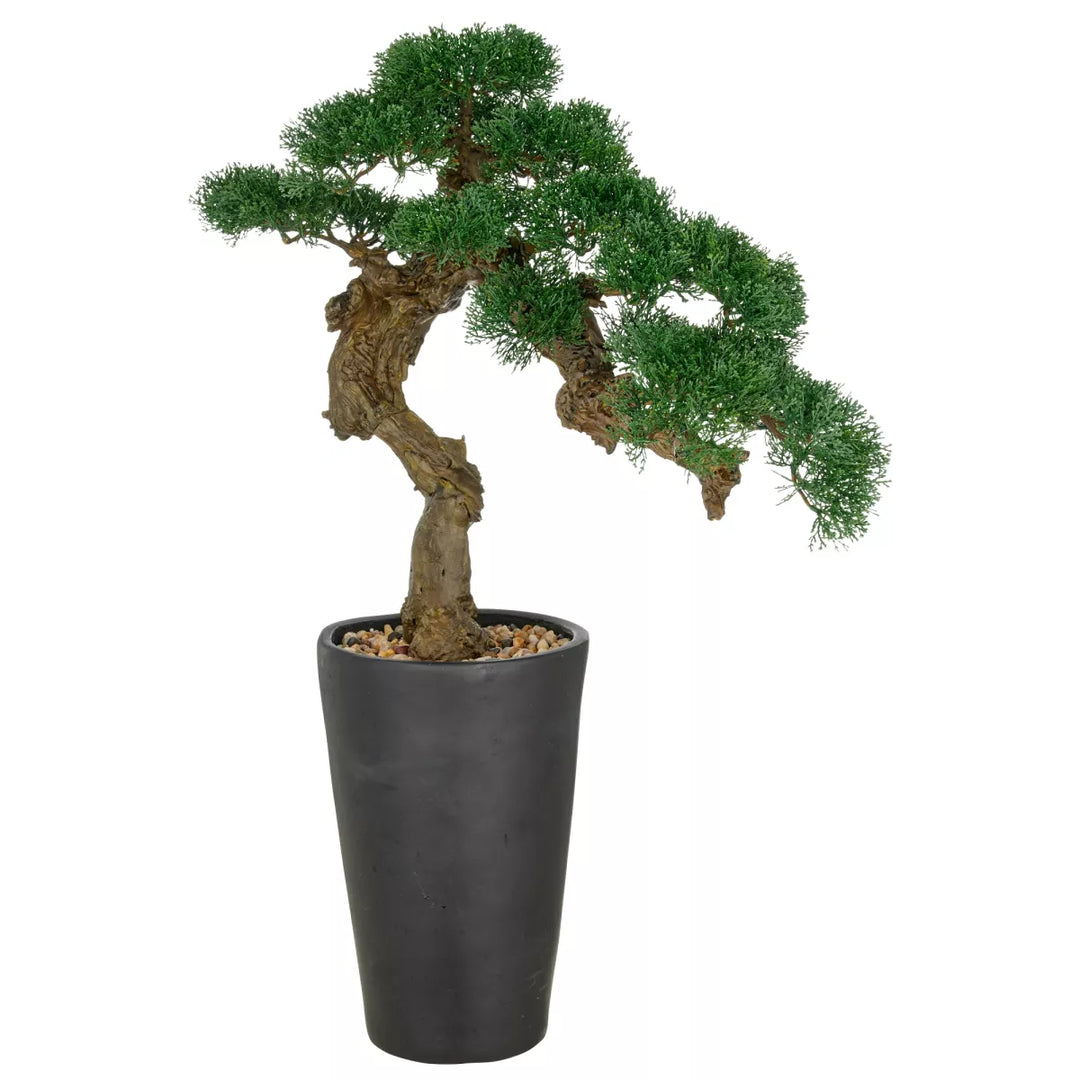 Flourify  bonsai ceder kunstplant. 80 cm