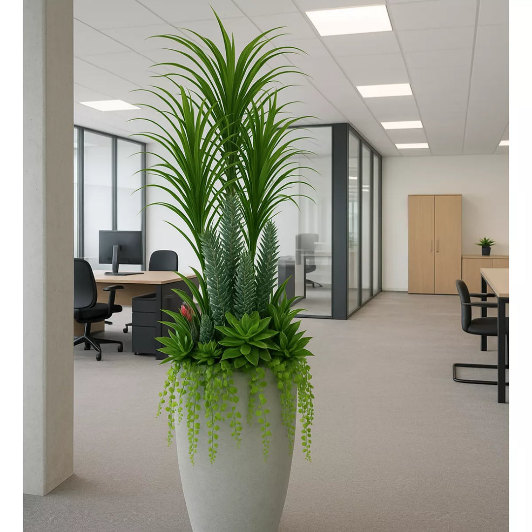 Flourify Succulent in fibreclay pot. 175 cm