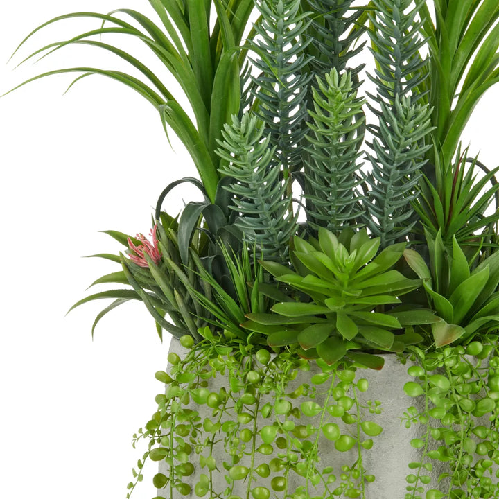 Flourify Succulent in fibreclay pot. 175 cm