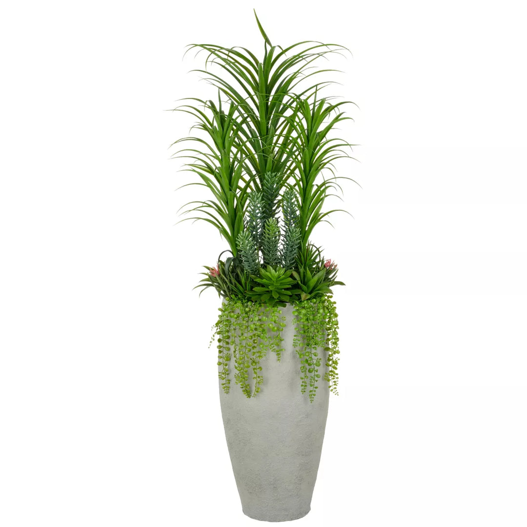 Flourify Succulent in fibreclay pot. 175 cm