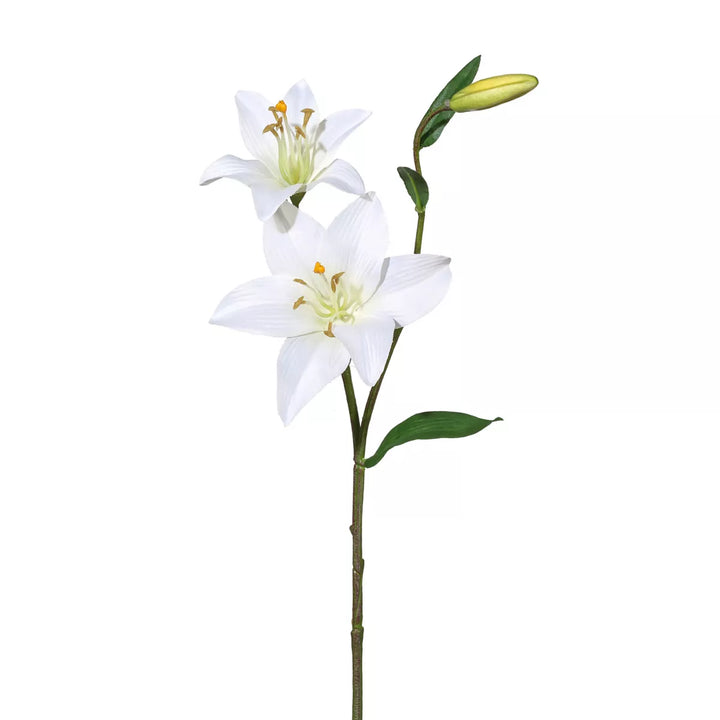 Flourify Lelie