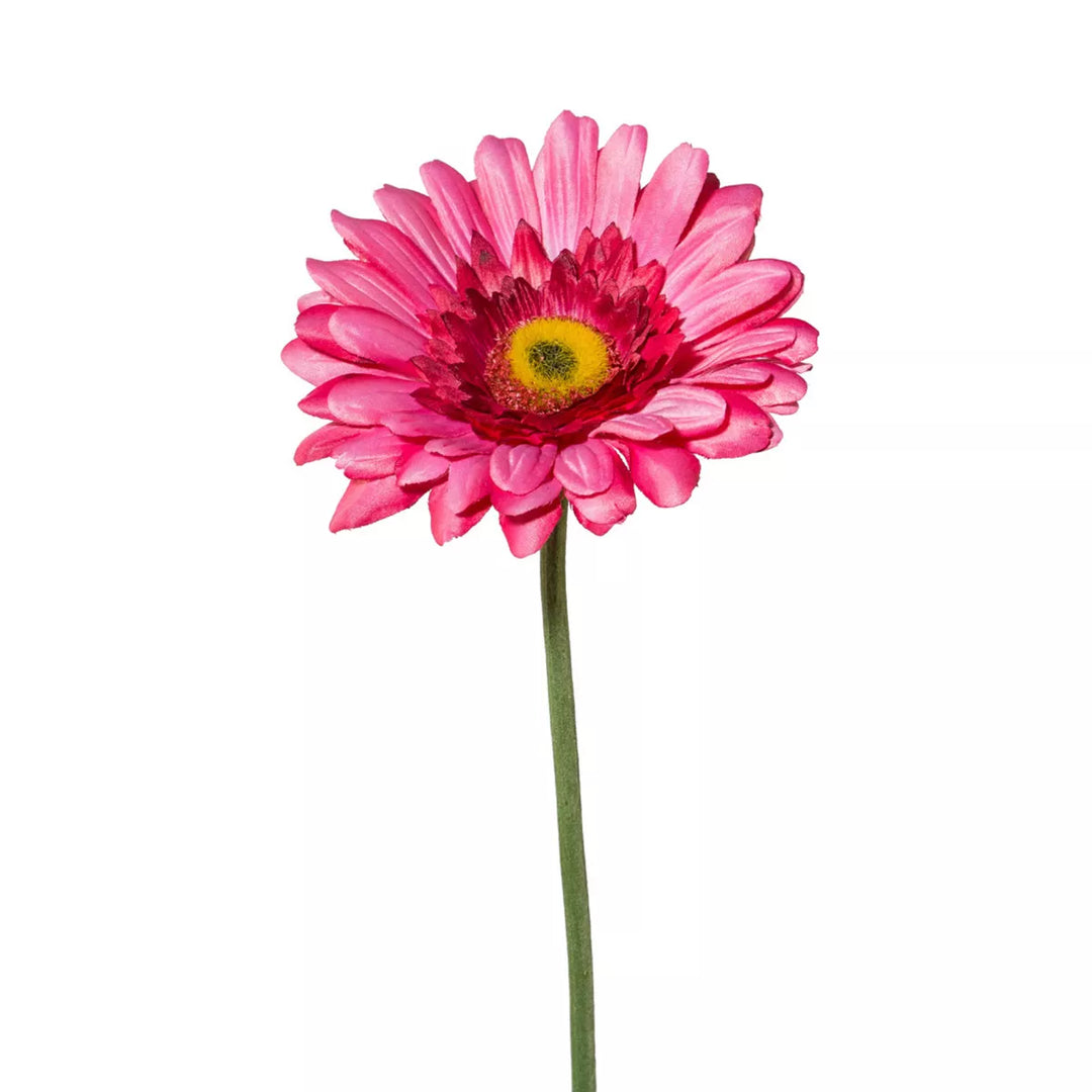 Flourify Gerbera
