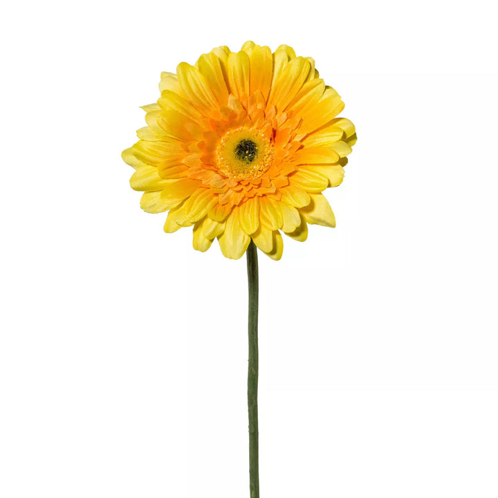 Flourify Gerbera