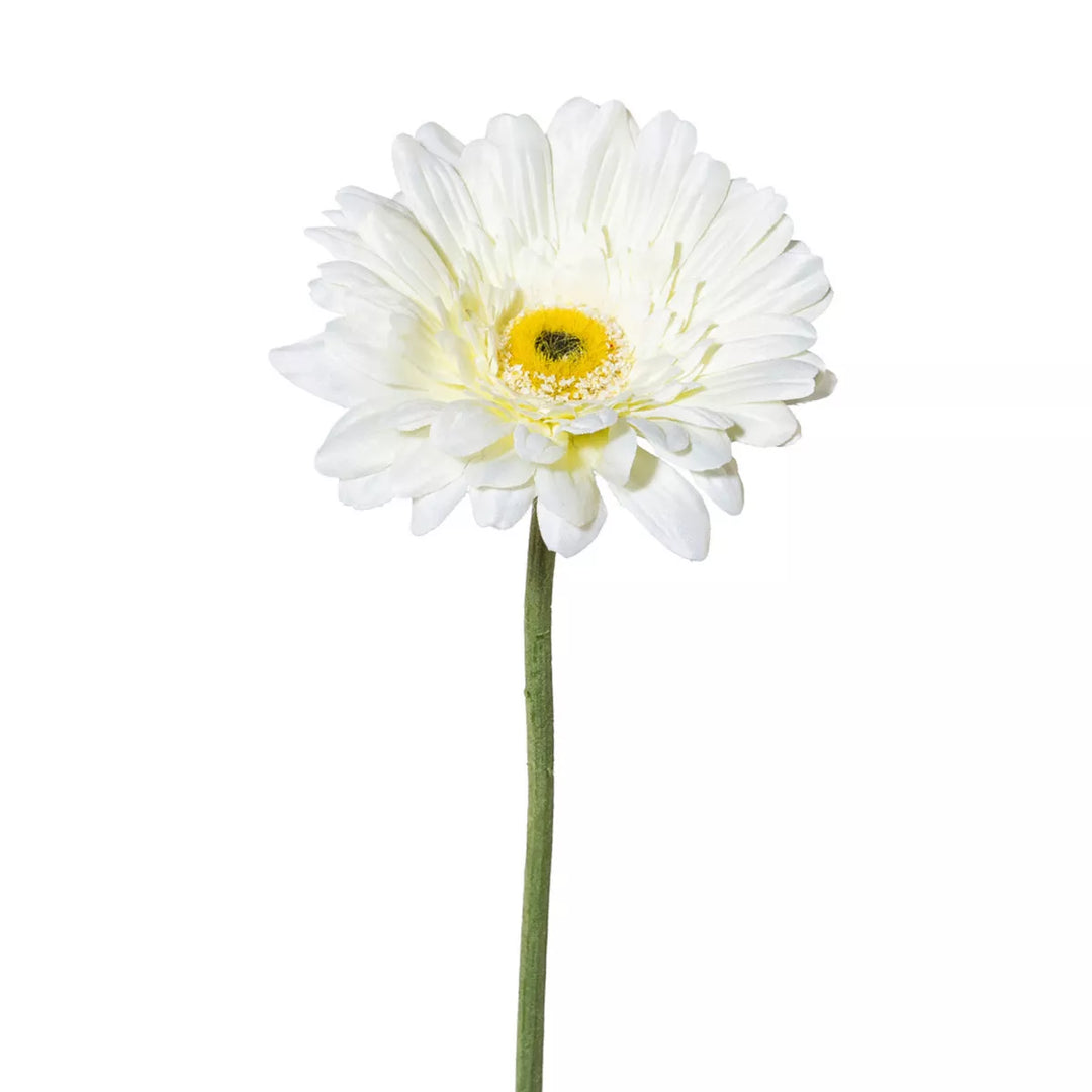 Flourify Gerbera