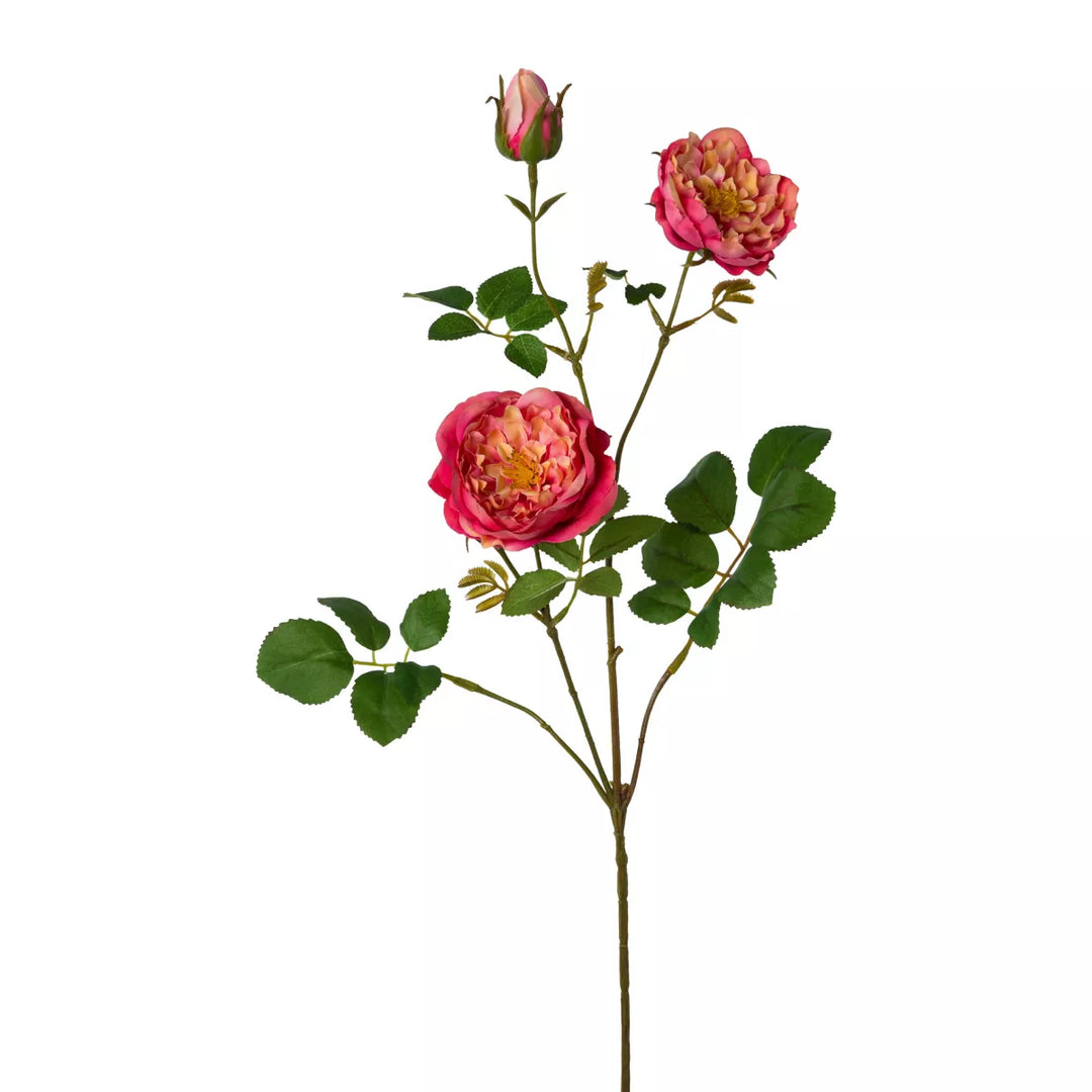 Flourify Rozenstruik