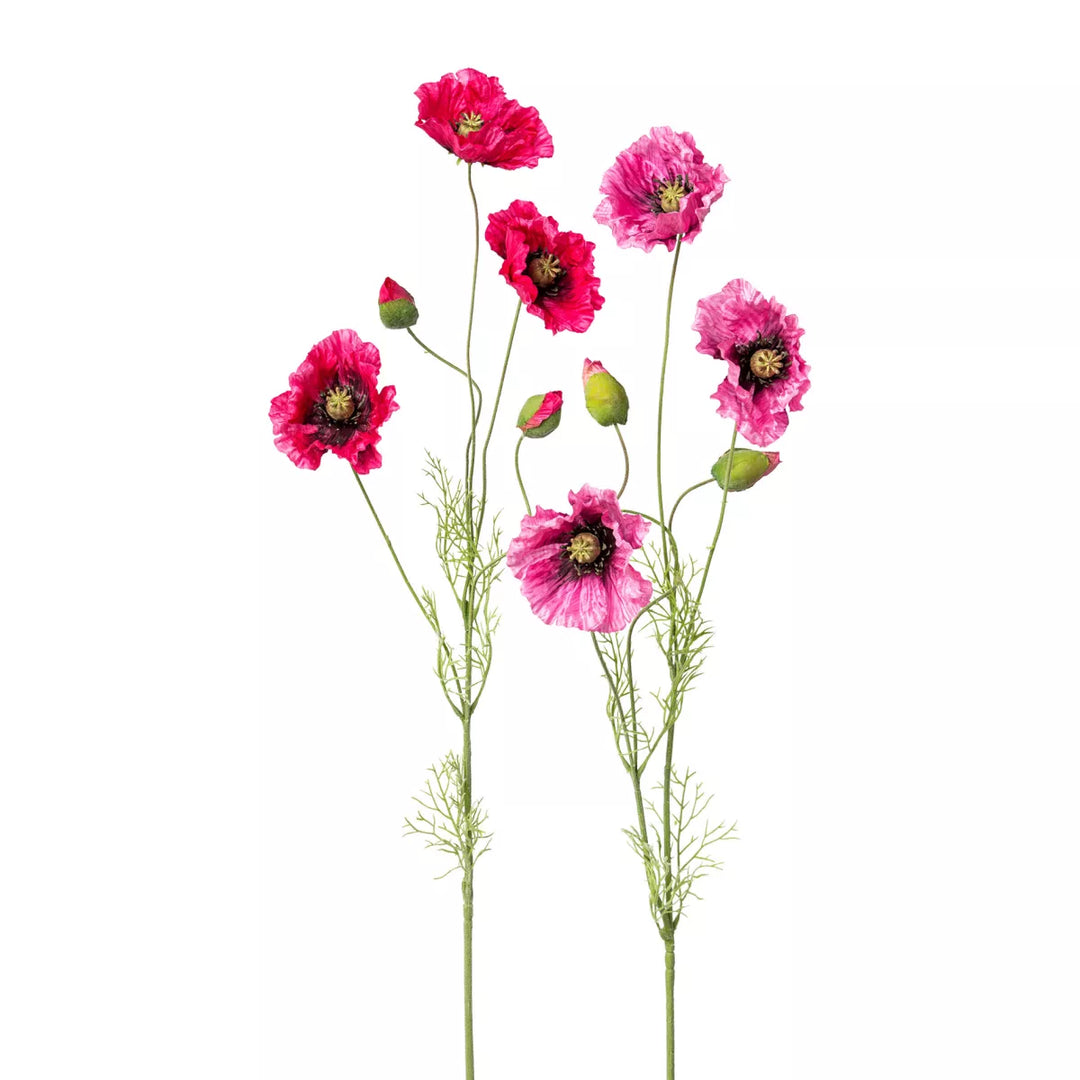 Flourify Maanbloem
