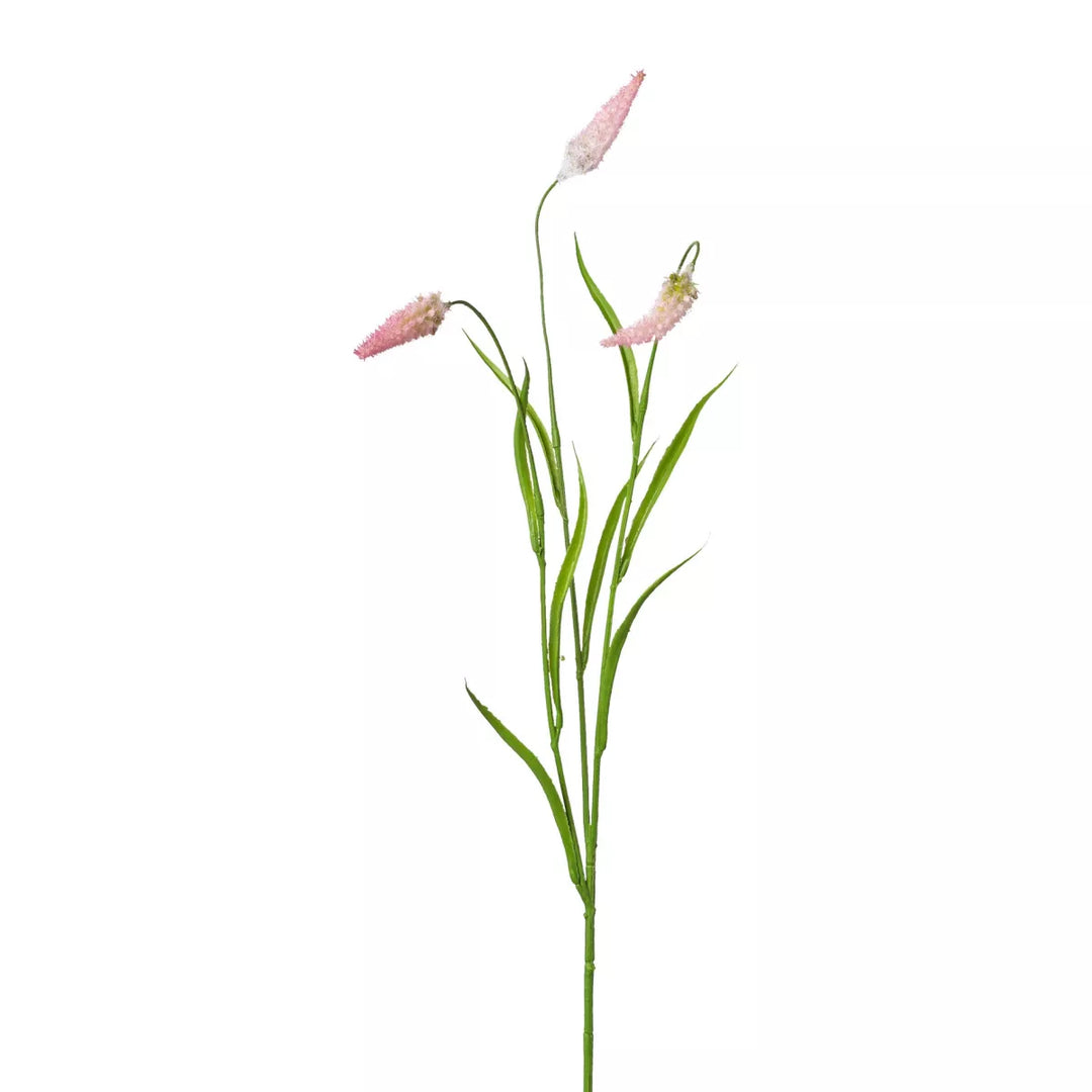 Flourify Veldgras
