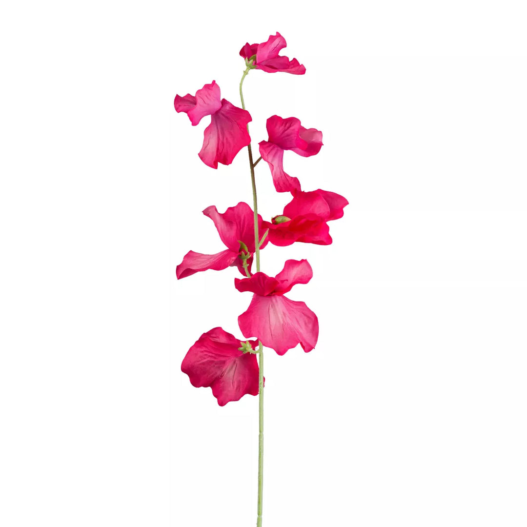 Flourify Wikke