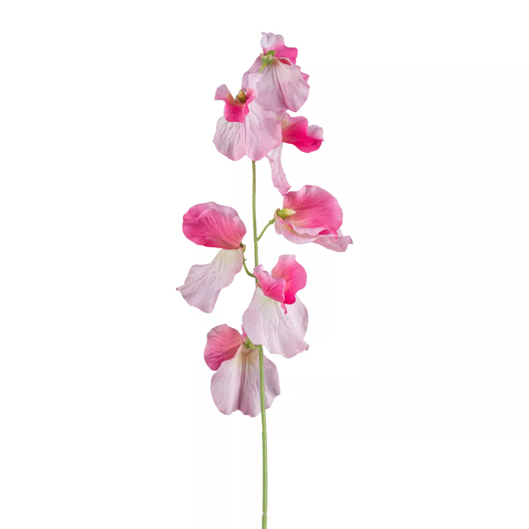 Flourify Wikke