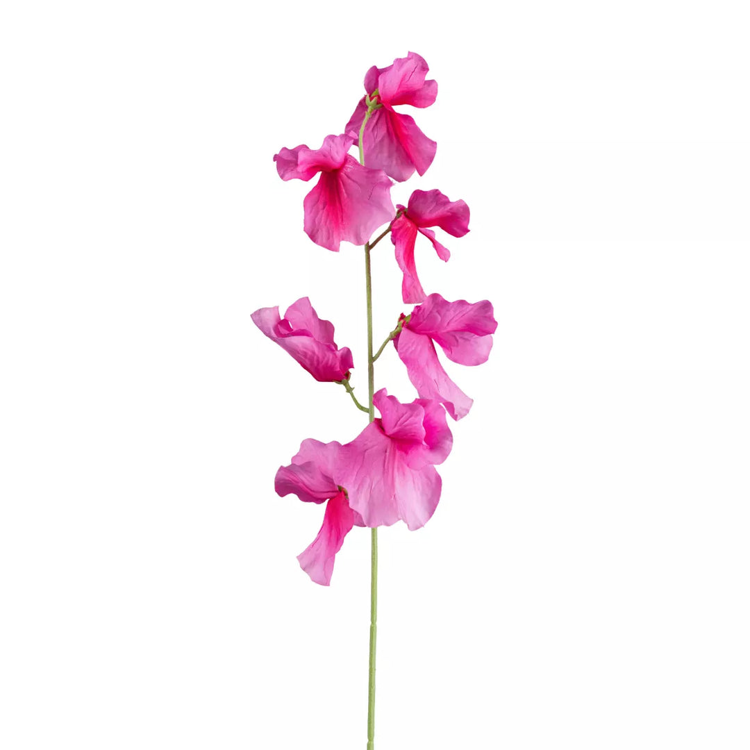 Flourify Wikke
