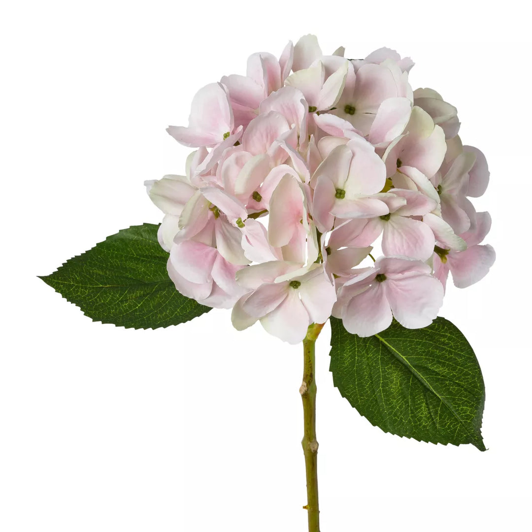 Flourify Hortensia