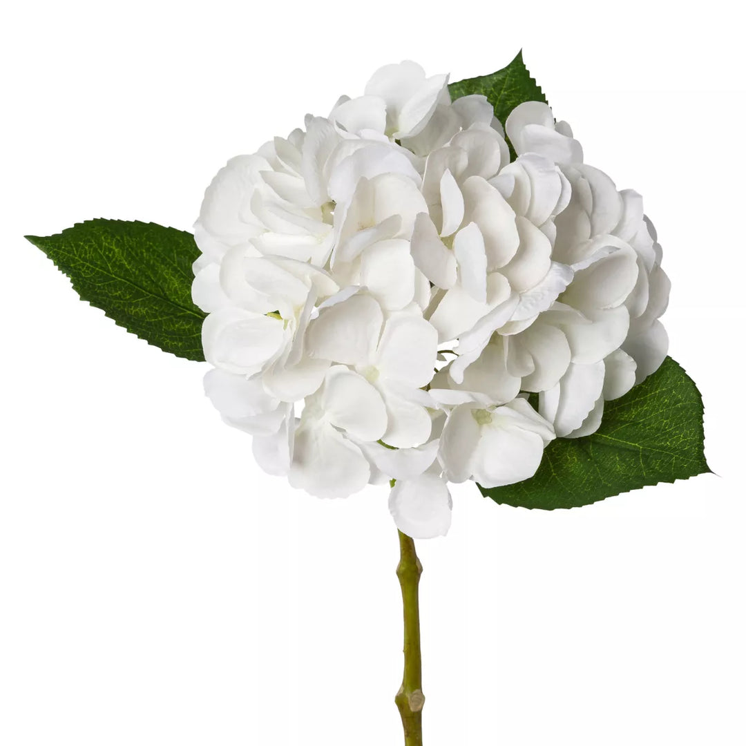 Flourify Hortensia