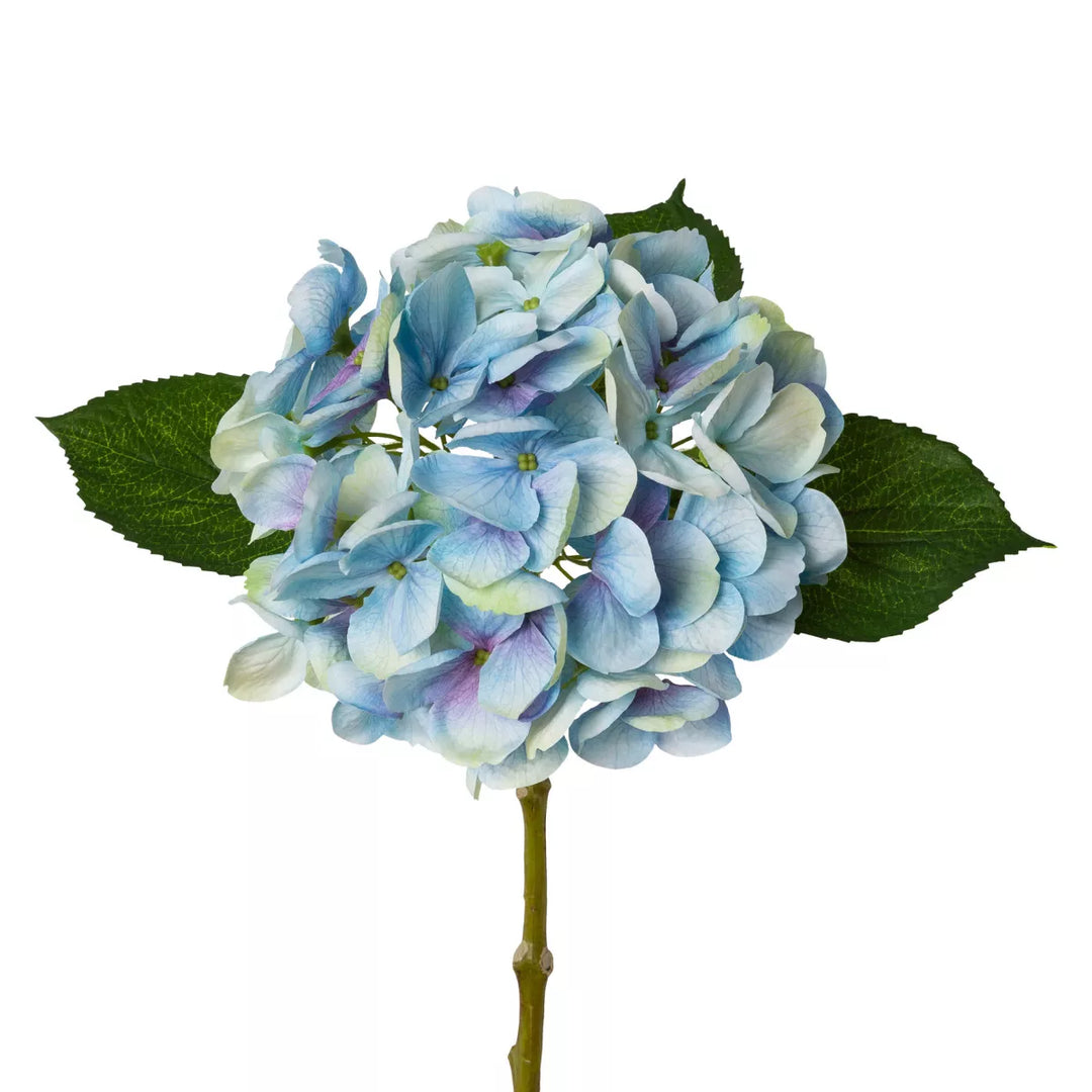 Flourify Hortensia