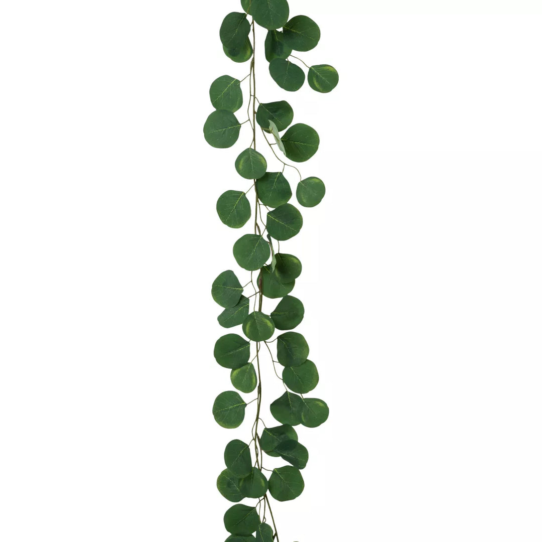 Flourify Eucalyptus guirlande, (hangplant)