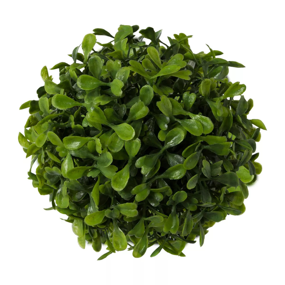 Flourify Buxusbol