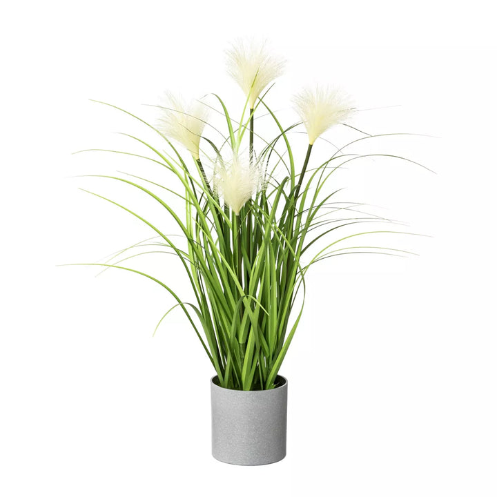 Flourify Rietgras
