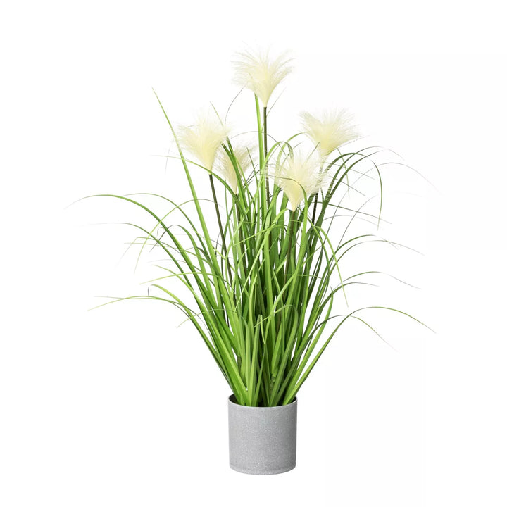 Flourify Rietgras