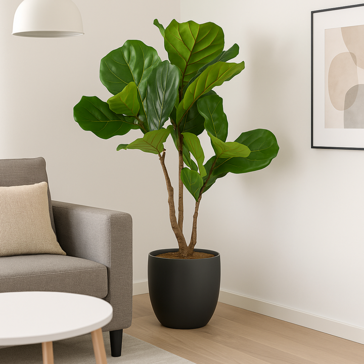 Kunstpflanze Ficus Lyrata 80 cm