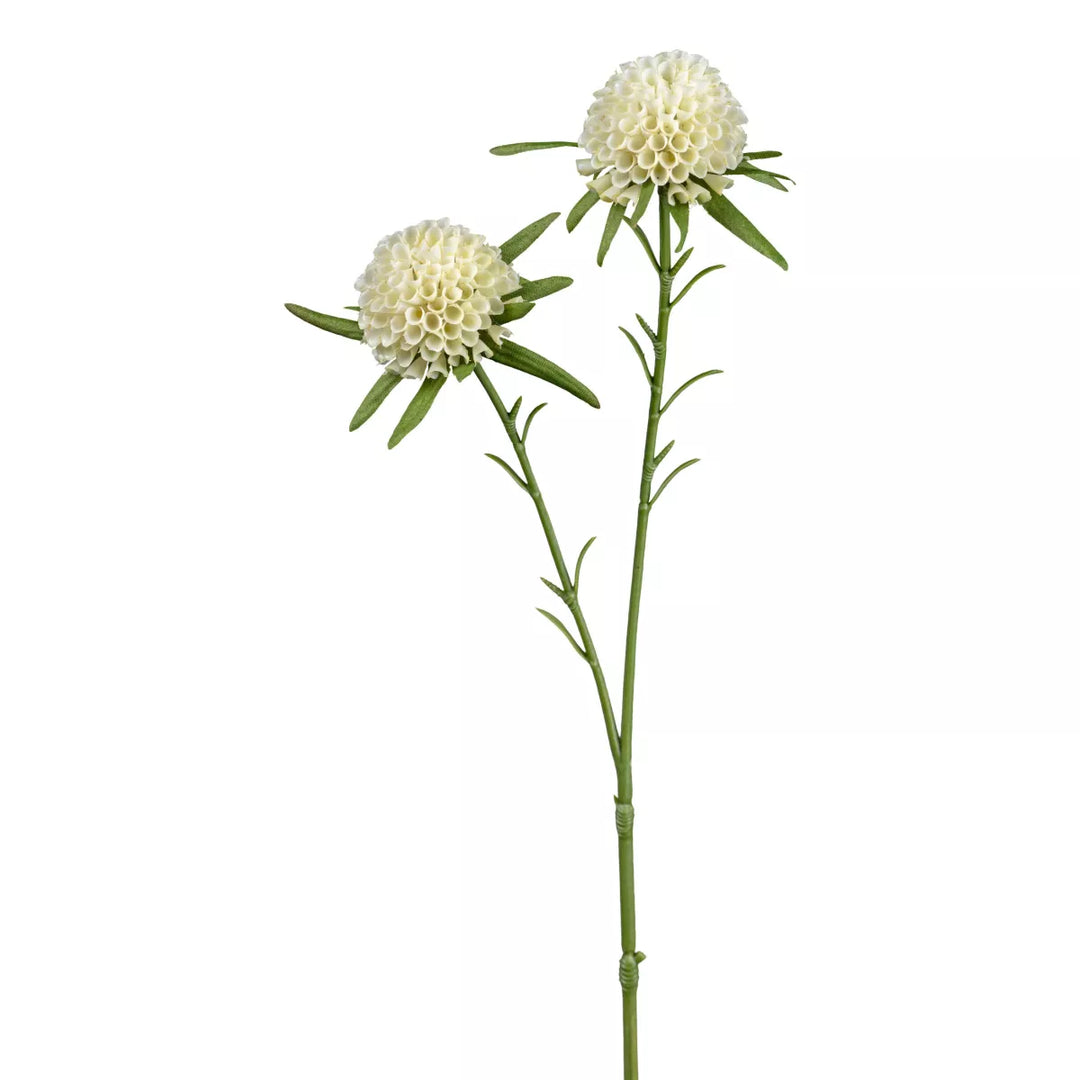 Flourify Dahlia