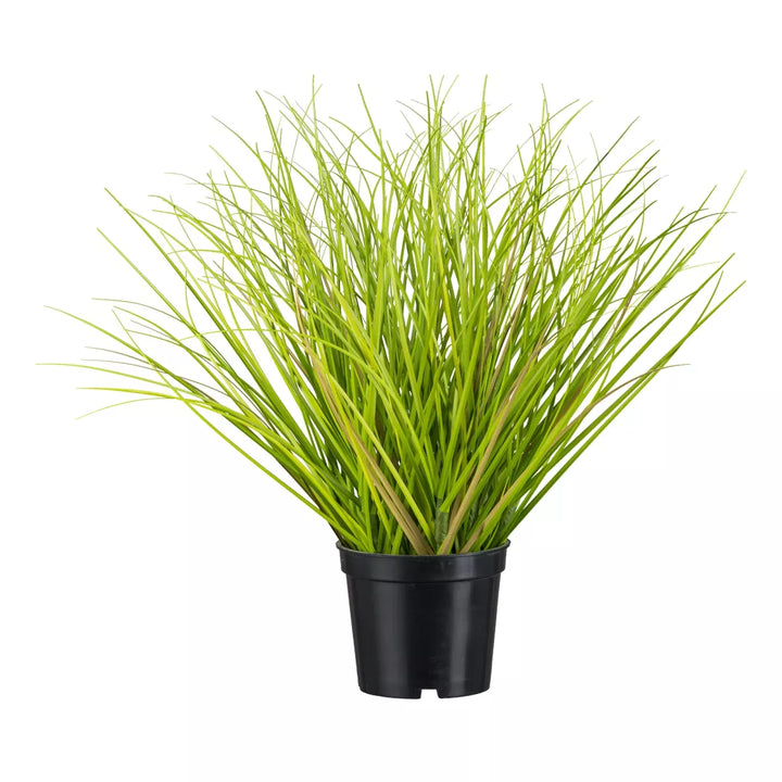 Flourify Siergras 