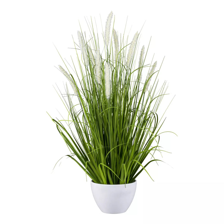 Flourify Pennisetum grasstruik (lampenpoetsergras)