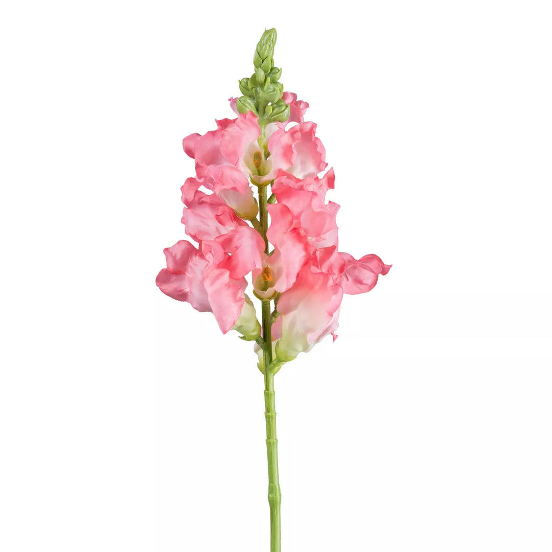 Flourify Leeuwenbek bloem