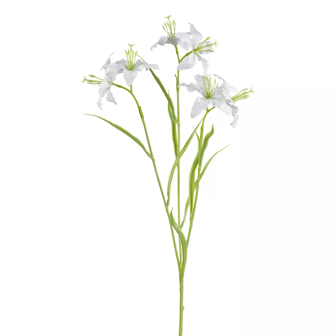 Flourify Lelie tak