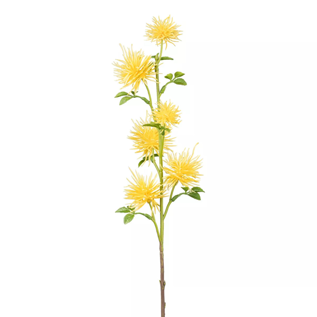 Flourify Disteltak