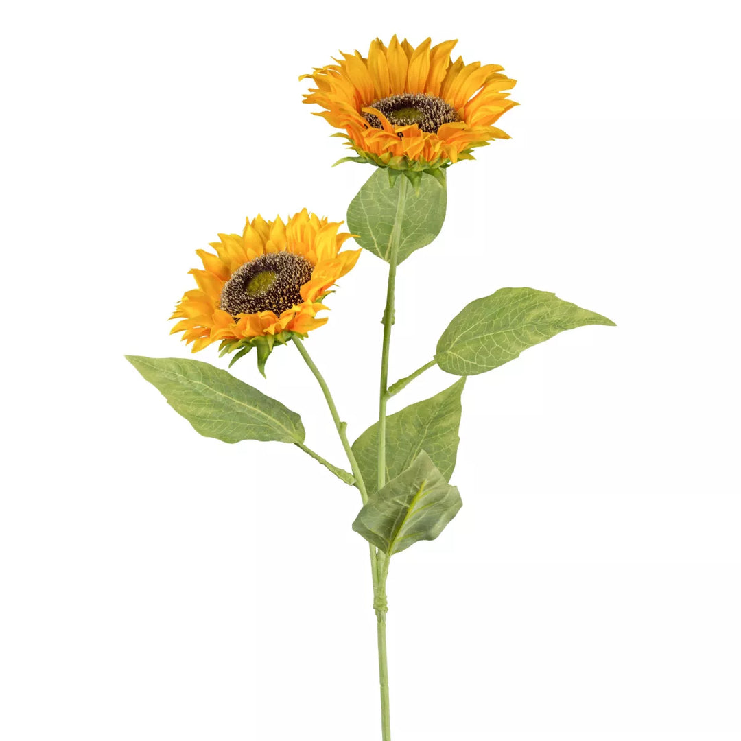 Flourify Zonnebloem 
