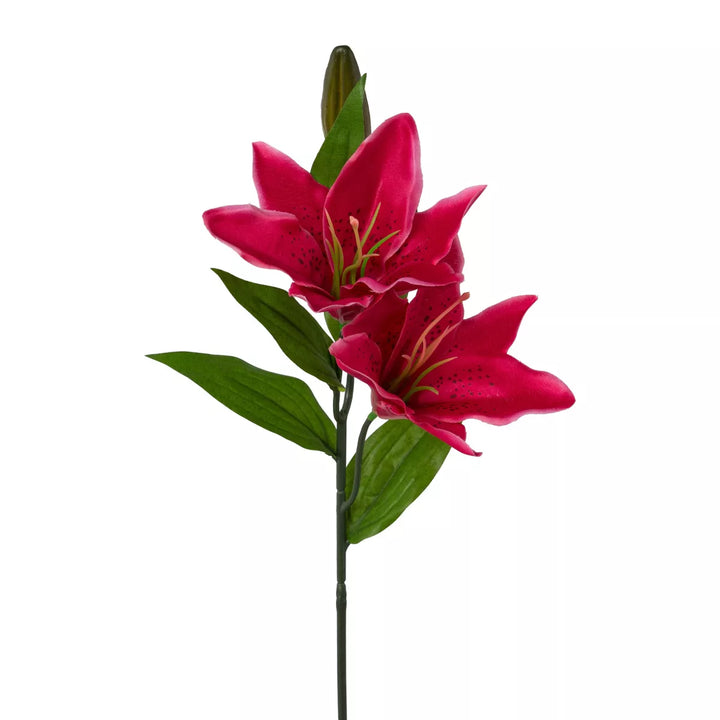 Flourify Lelie