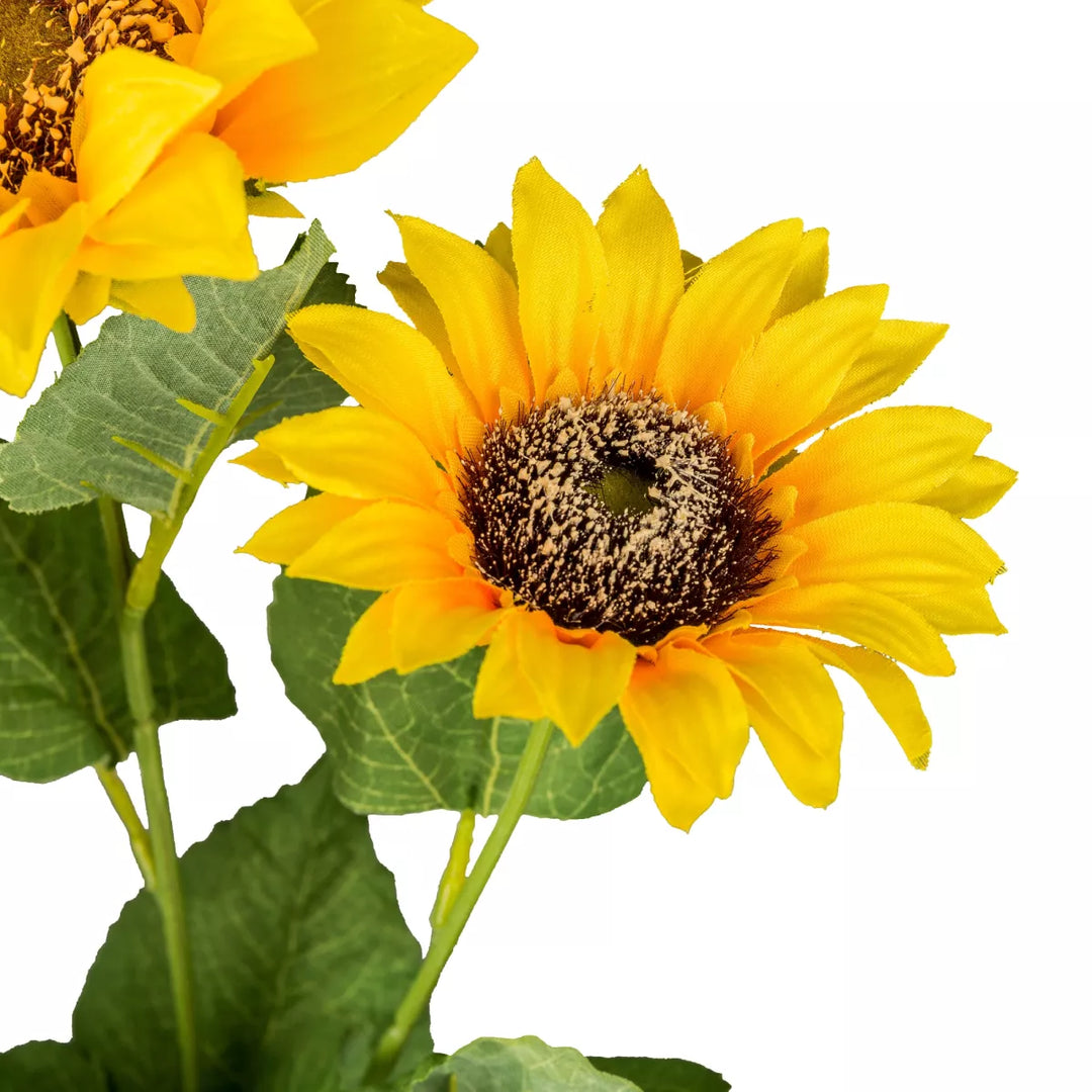 Flourify Zonnebloem