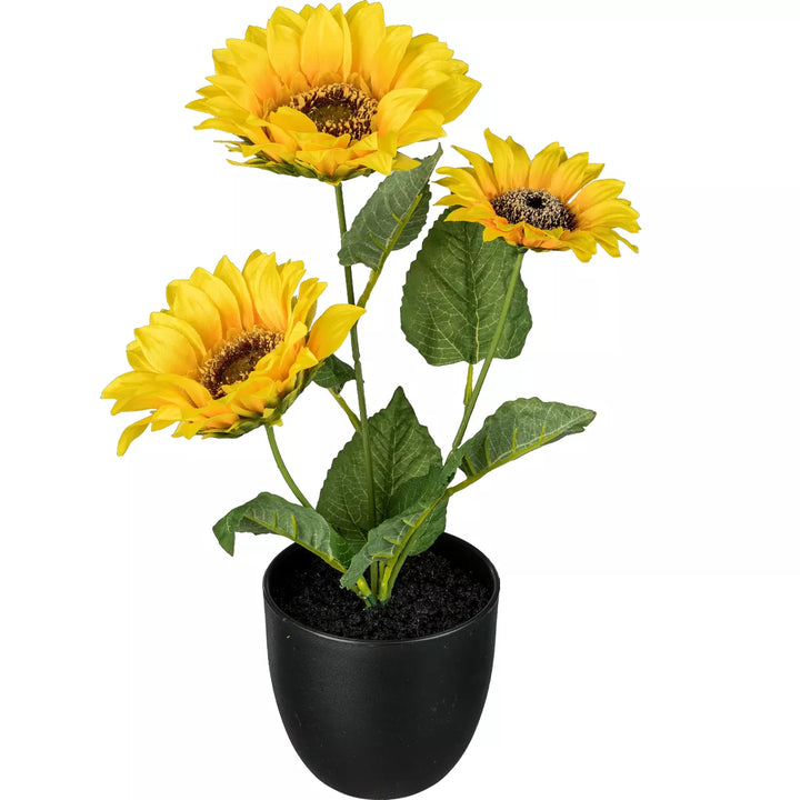 Flourify Zonnebloem