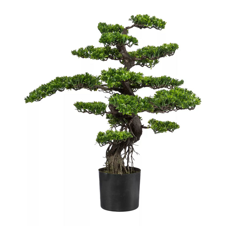 Flourify Bonsai