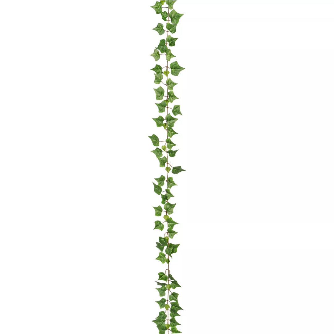Flourify Klimop hangplant