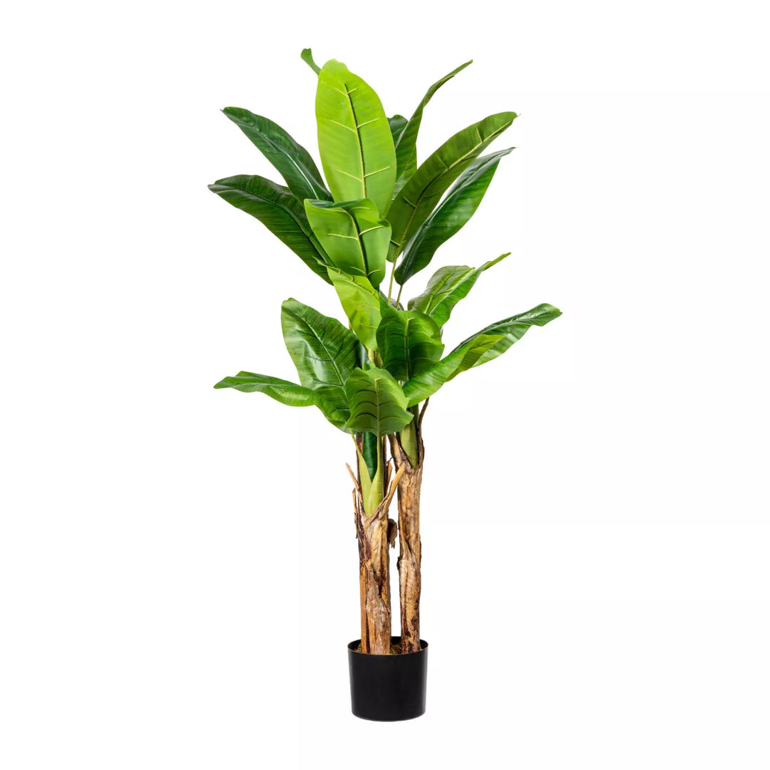 Flourify Bananenplant