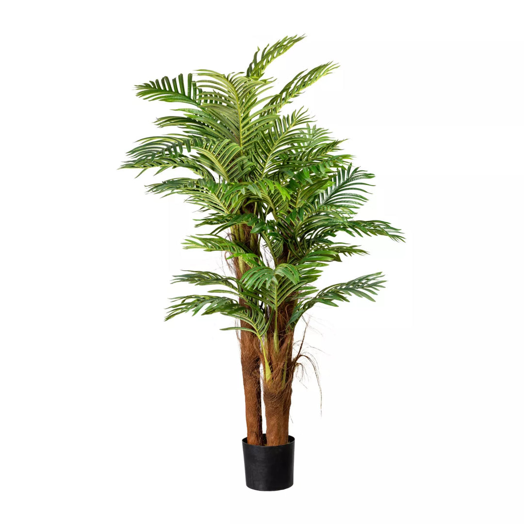 Flourify Palm