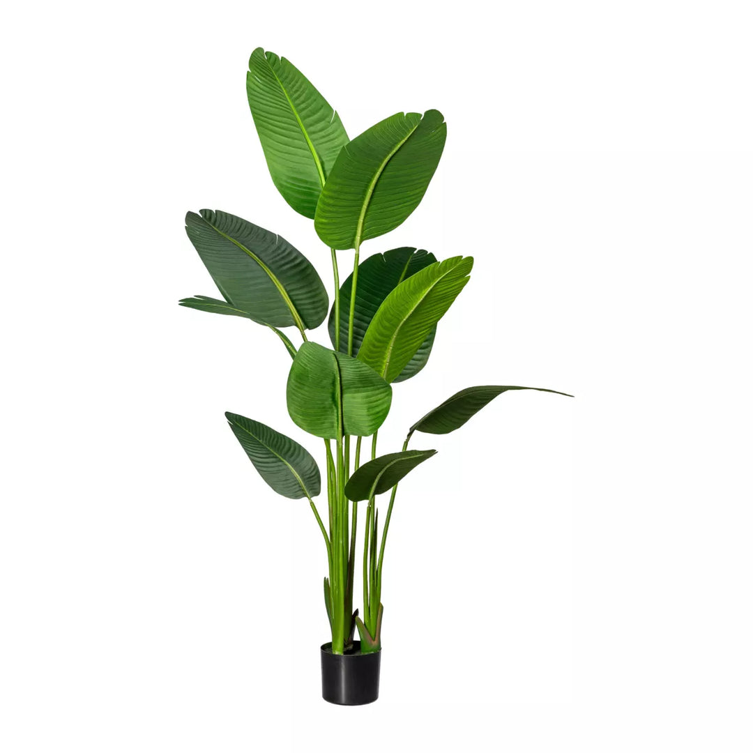 Flourify strelitzia nicolai kunstplant. 160 cm