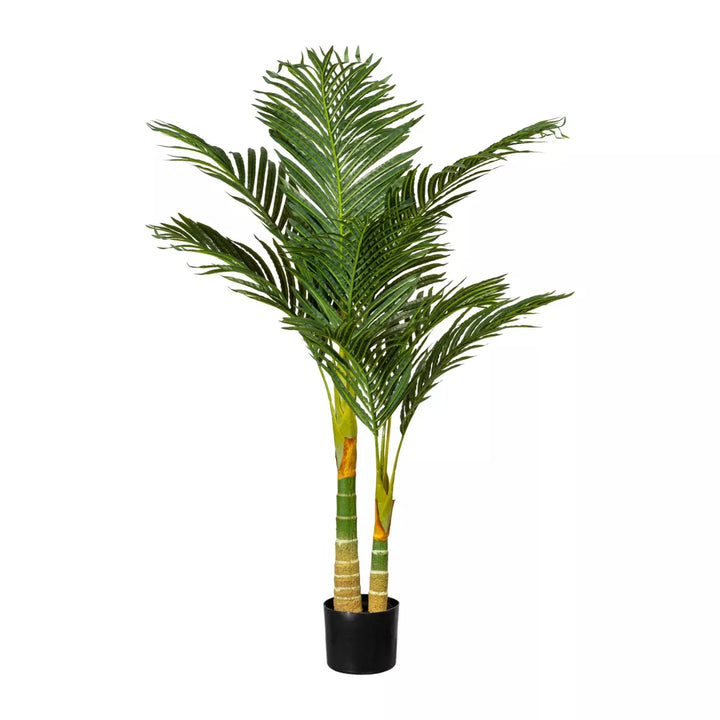 Flourify Arecapalm