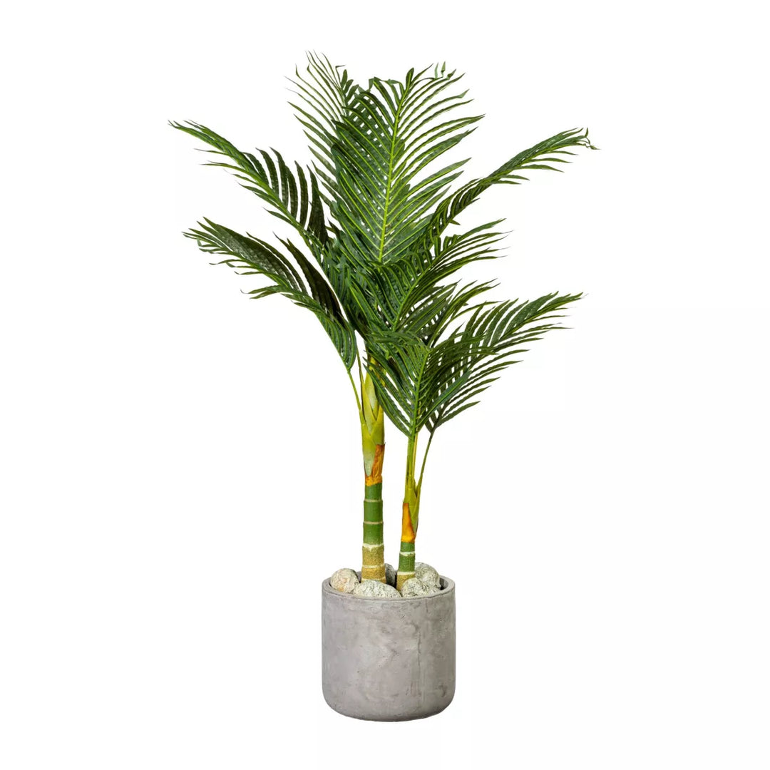 Flourify Arecapalm
