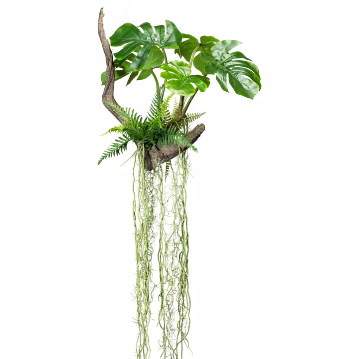 Flourify Philodendron
