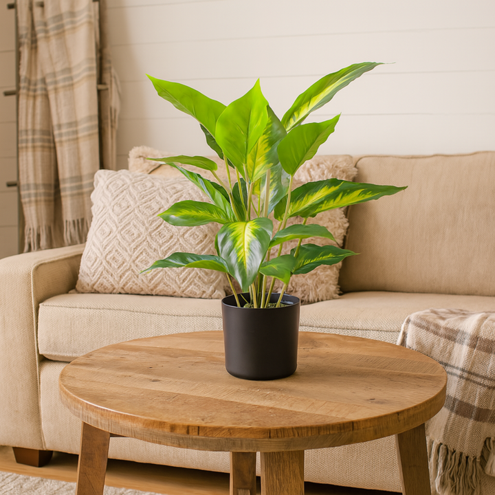 Dieffenbachia kunstplant 45 cm