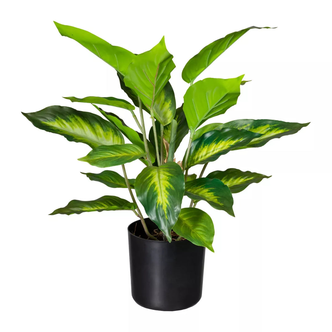 Flourify dieffenbachia kunstplant. 45 cm
