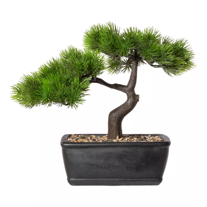 Flourify Bonsai lariks