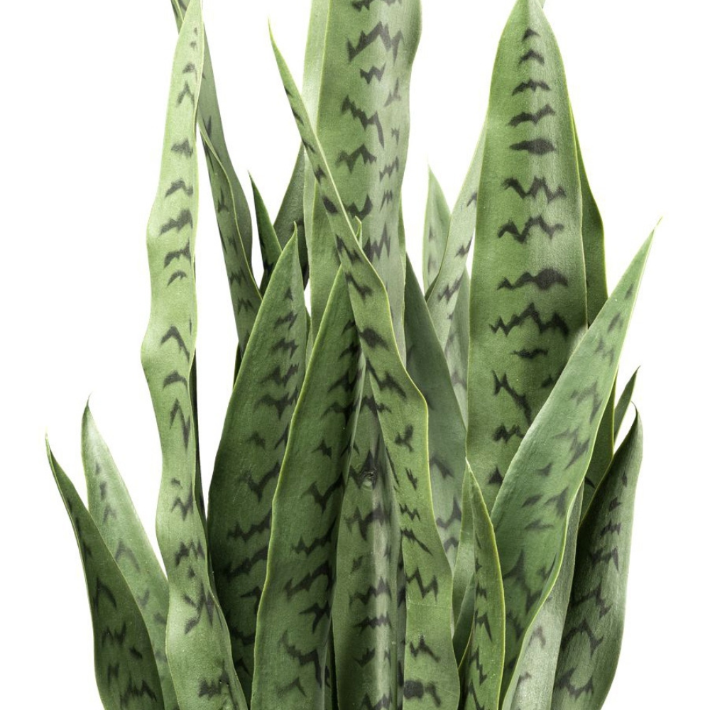 Kunstpflanze Sansevieria 90 cm