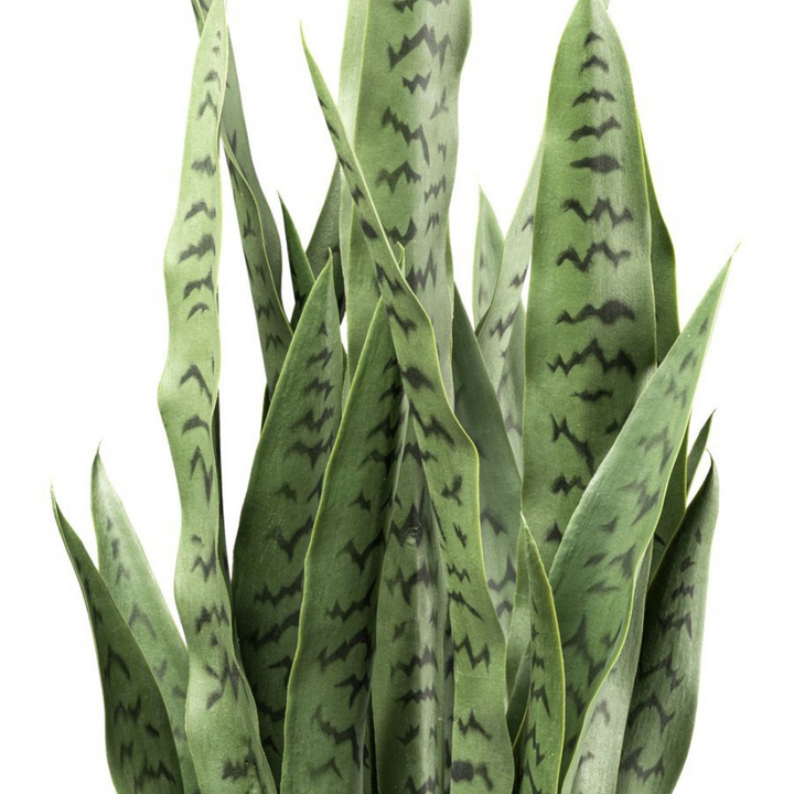 Kunstpflanze Sansevieria 90 cm